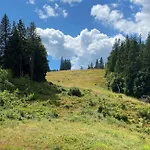 Schwarzwald Apartmán