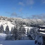 Apartmán Schwarzwald *