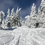 Schwarzwald Apartmán Feldberg (Baden-Wurttemberg)