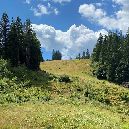 Schwarzwald Apartamento