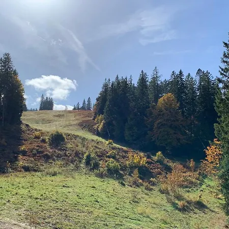 Apartamento Schwarzwald Feldberg (Baden-Wurttemberg)