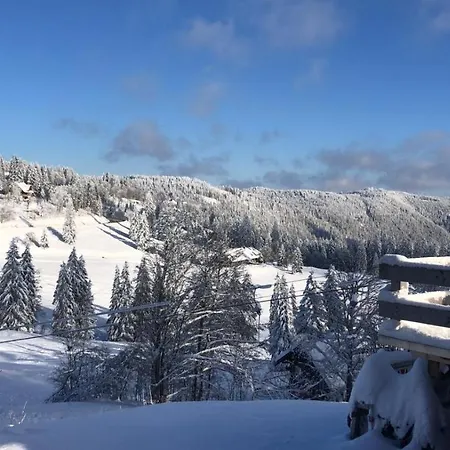 Apartamento Schwarzwald *