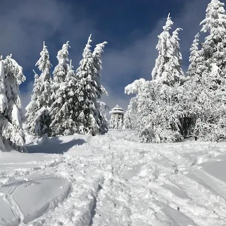 Schwarzwald Apartamento Feldberg (Baden-Wurttemberg)