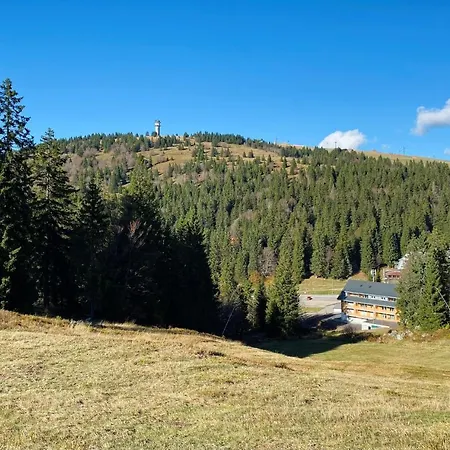 Feldberg Schwarzwald *