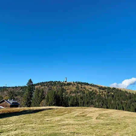 Apartamento Schwarzwald Feldberg (Baden-Wurttemberg)