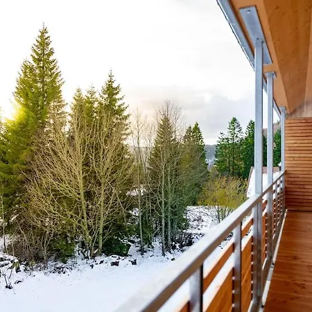 Feldberg Schwarzwald Apartment *